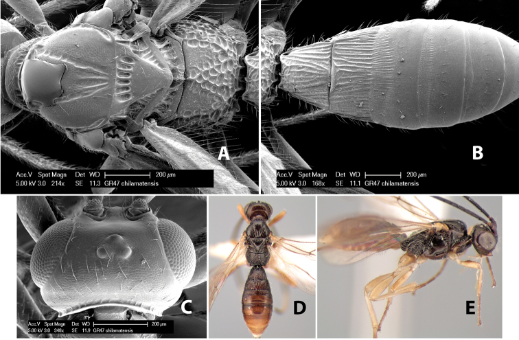 Figure 147.