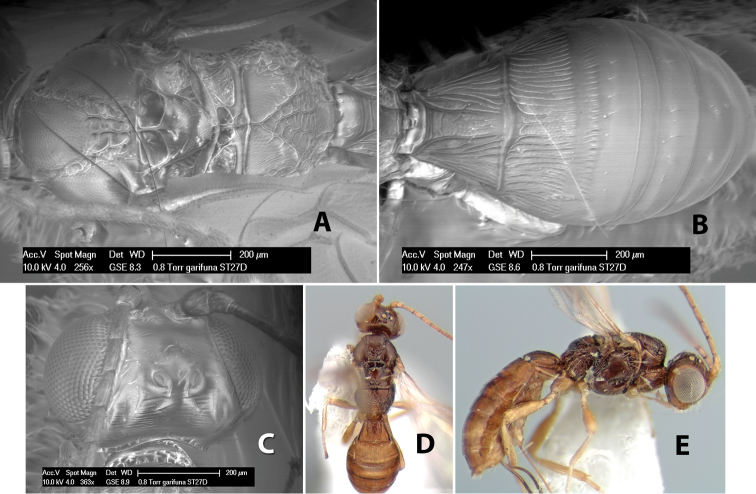 Figure 47.