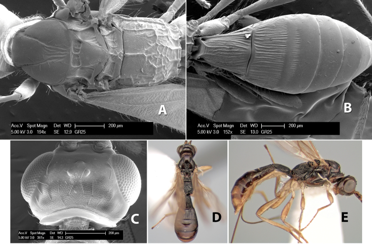 Figure 148.