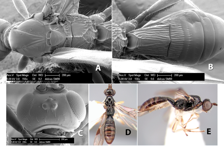 Figure 236.