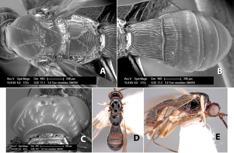 Figure 292.