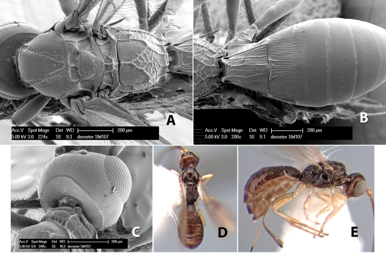 Figure 228.