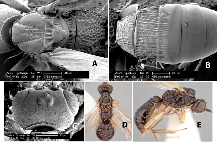 Figure 163.