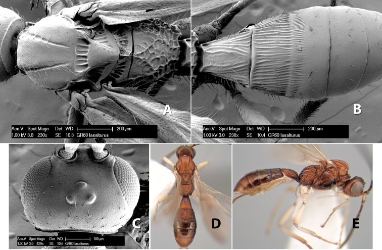 Figure 166.