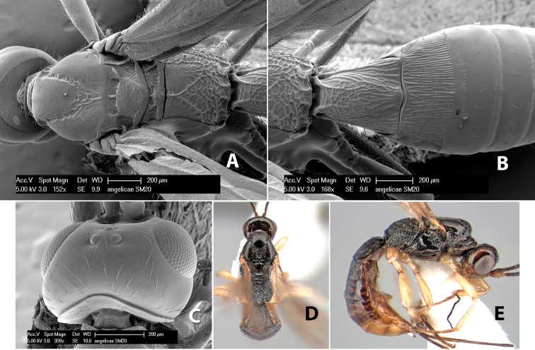 Figure 208.