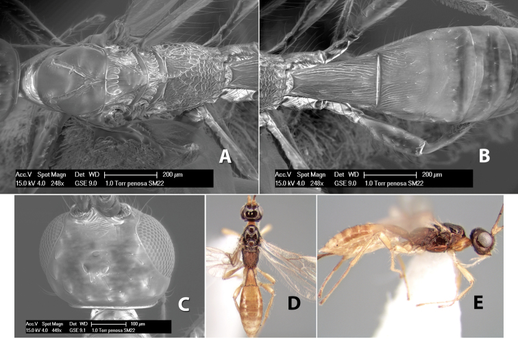 Figure 268.