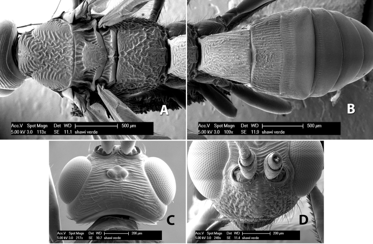 Figure 108.