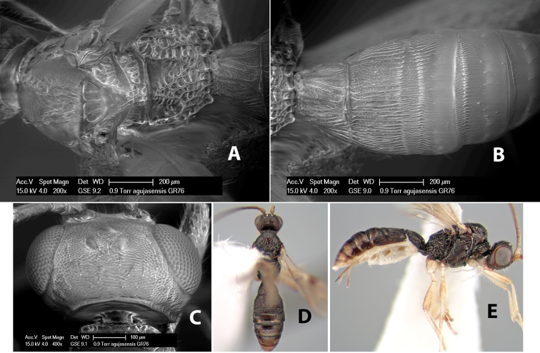 Figure 134.