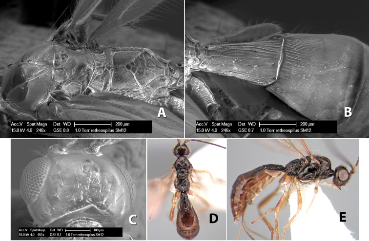 Figure 276.