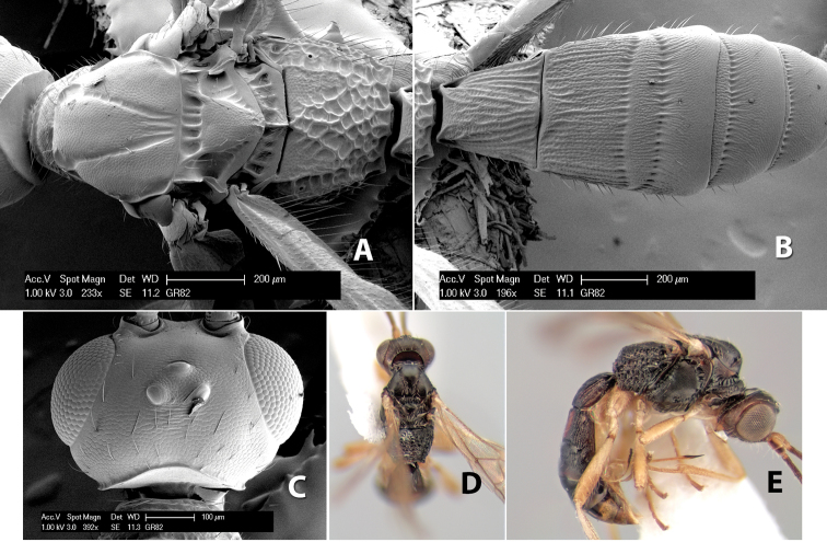 Figure 189.