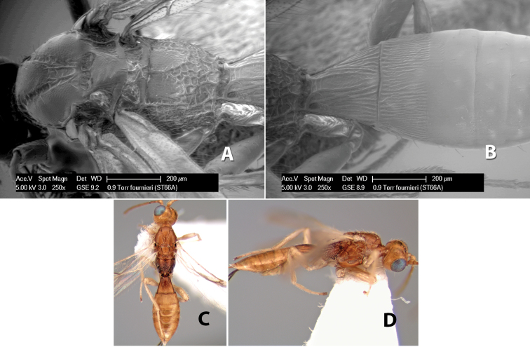 Figure 45.