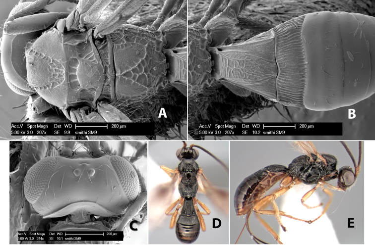 Figure 283.