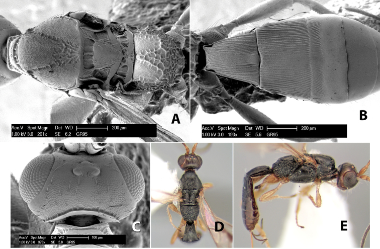 Figure 170.