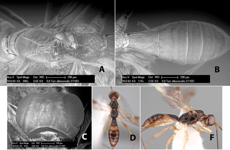 Figure 13.