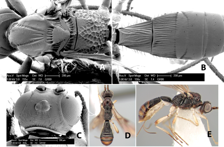 Figure 191.