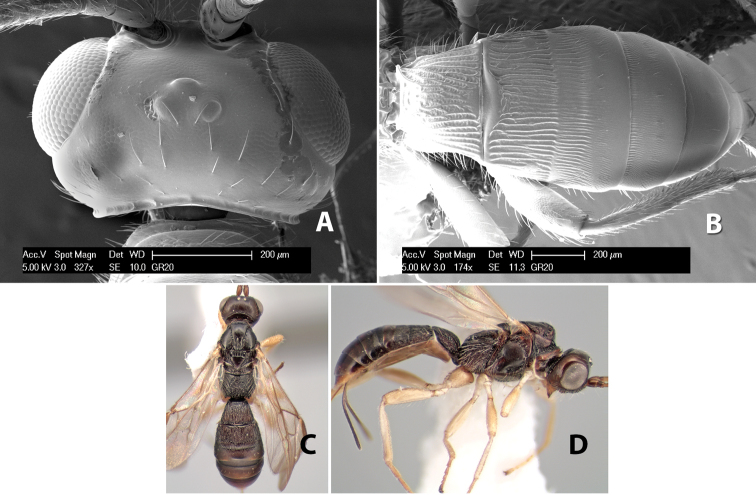 Figure 149.