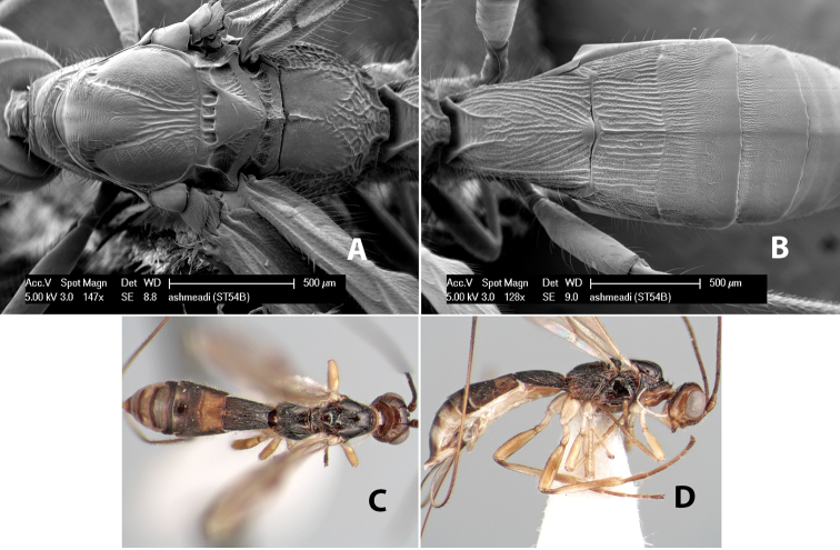 Figure 65.