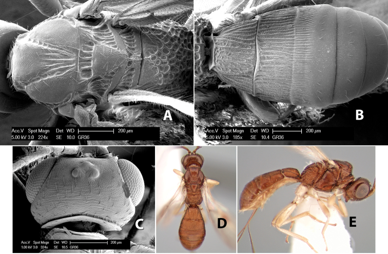 Figure 132.