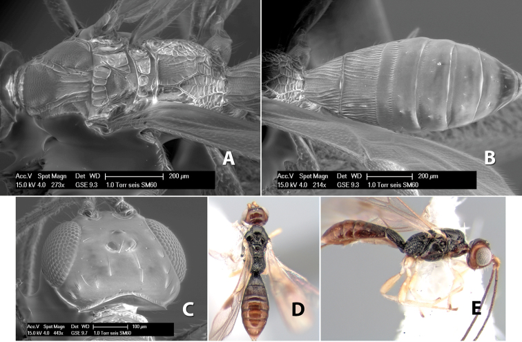 Figure 280.