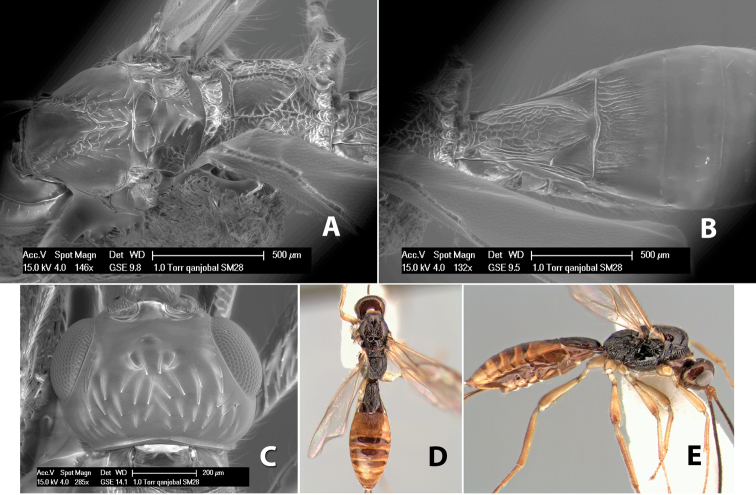 Figure 273.