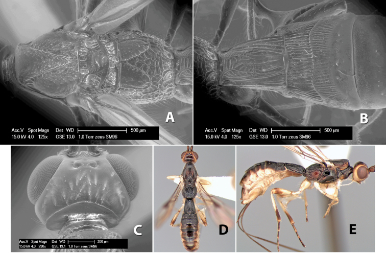 Figure 301.