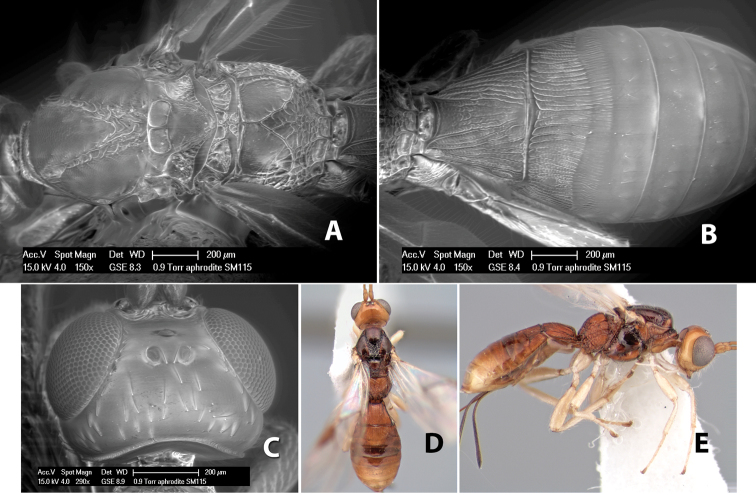 Figure 209.