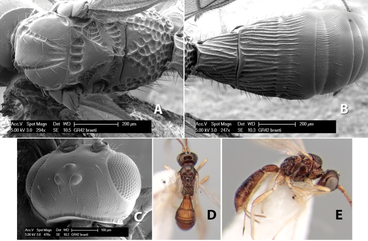 Figure 143.