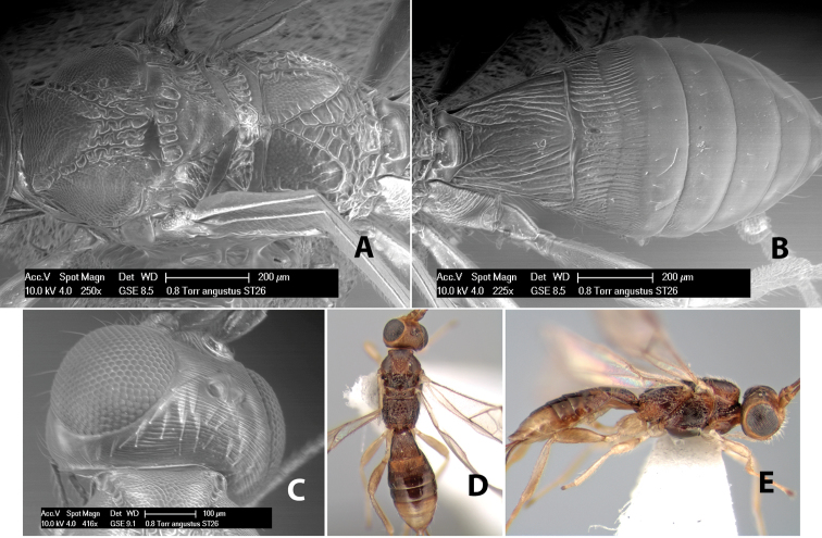 Figure 14.