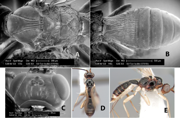 Figure 23.