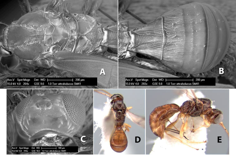 Figure 213.