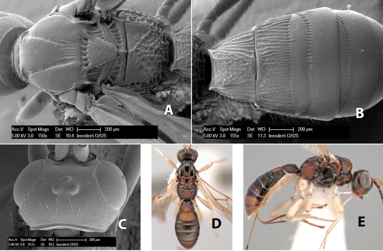 Figure 167.