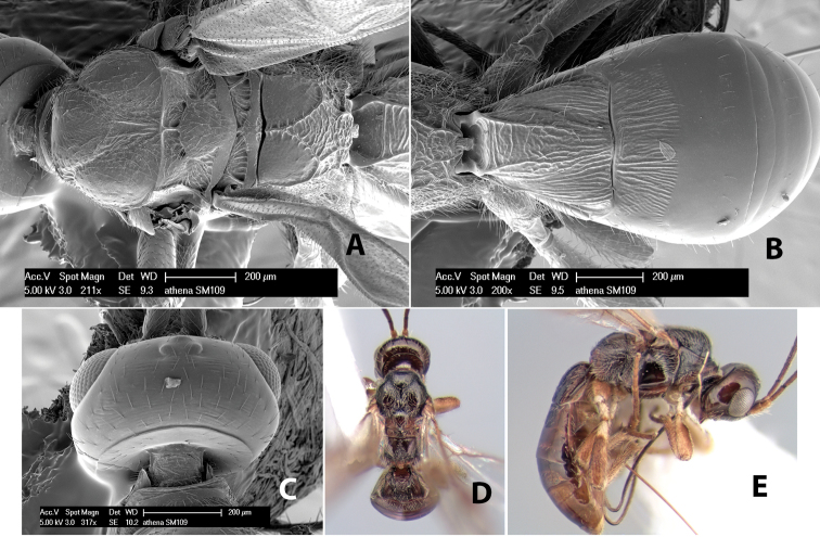 Figure 212.