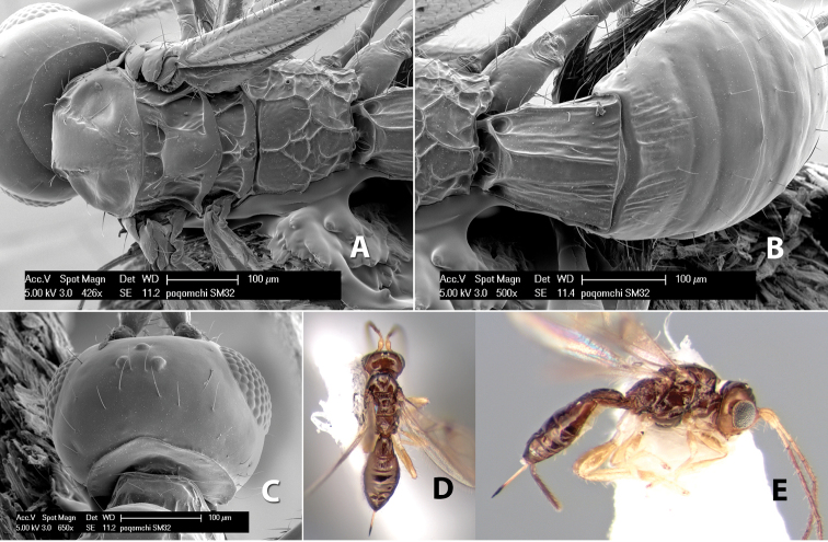 Figure 272.