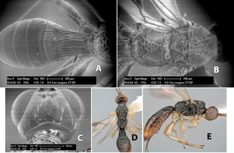 Figure 73.