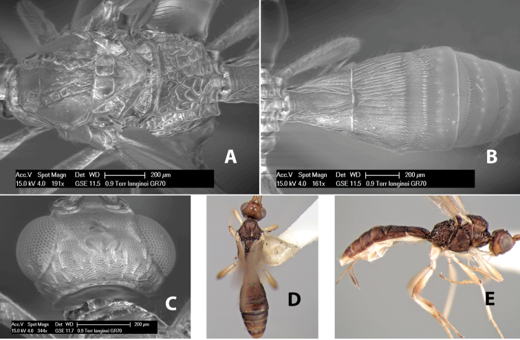 Figure 169.