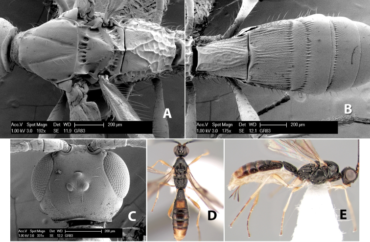 Figure 190.