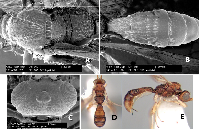 Figure 184.