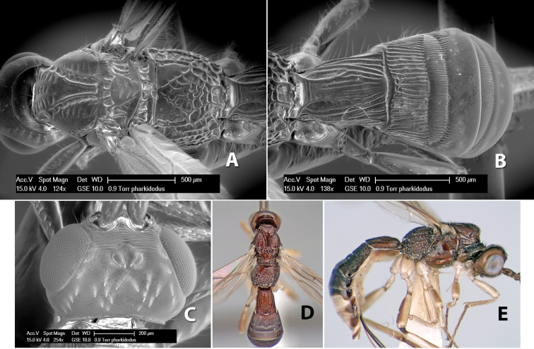 Figure 271.