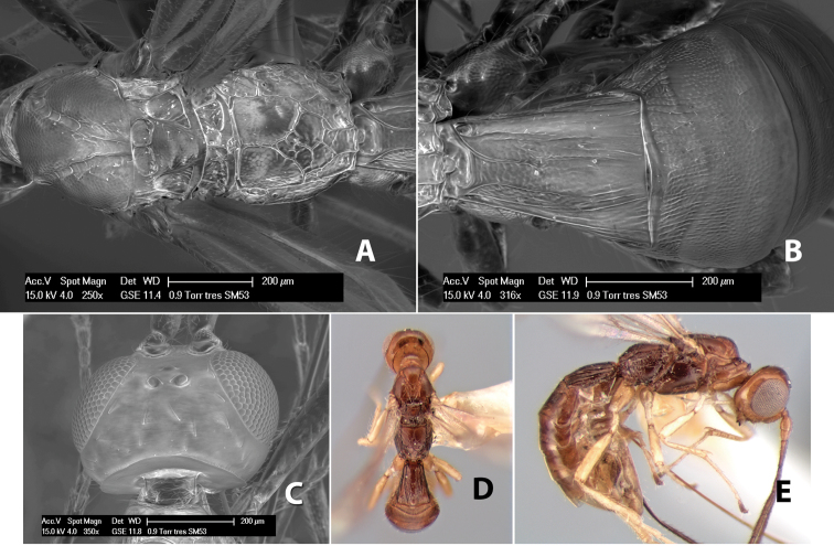 Figure 287.