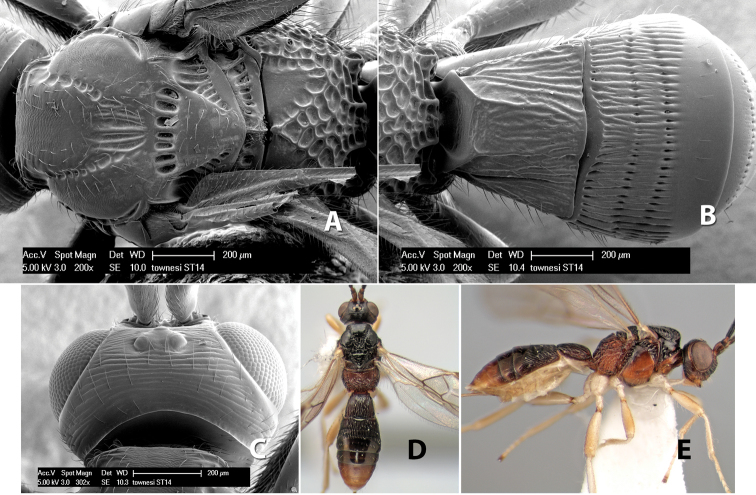 Figure 118.