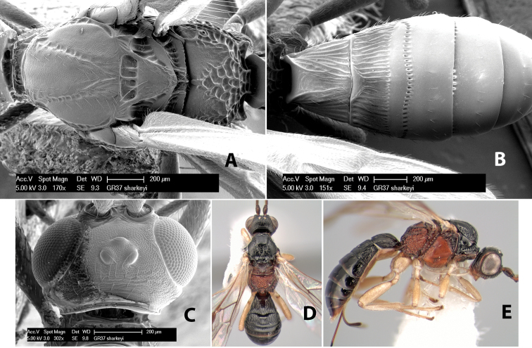 Figure 192.