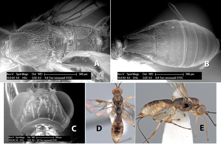 Figure 123.