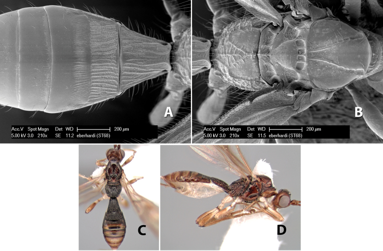 Figure 36.