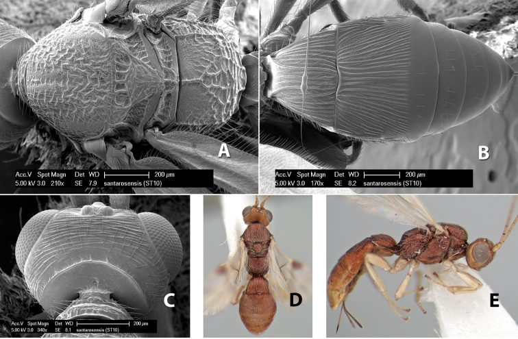 Figure 106.