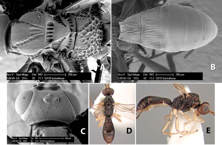 Figure 140.