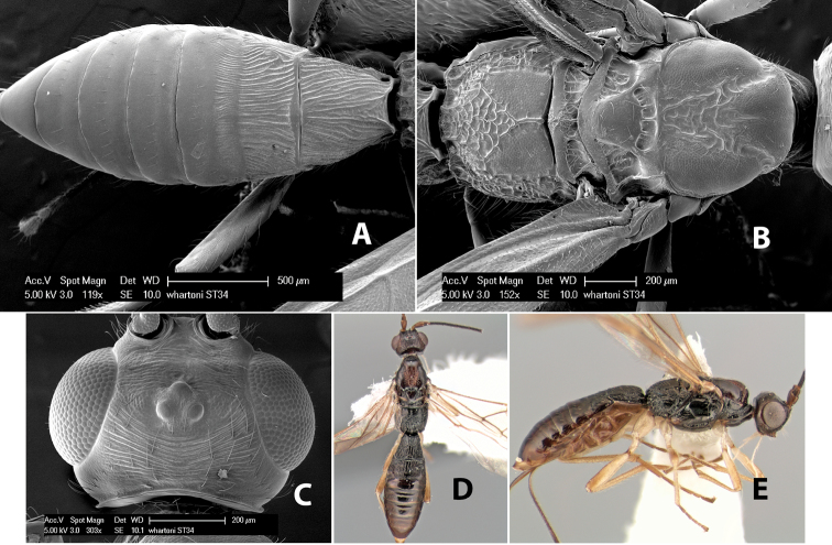 Figure 124.