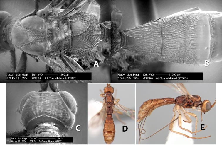 Figure 126.