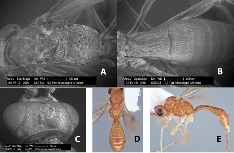 Figure 172.