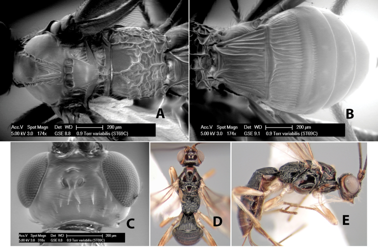 Figure 120.