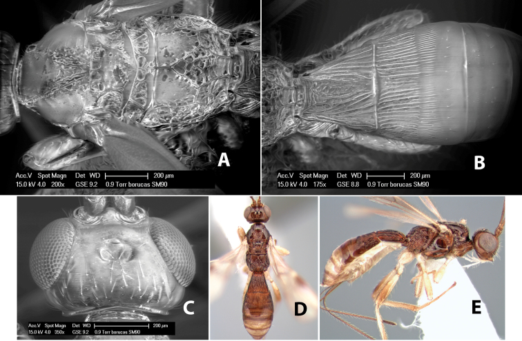 Figure 214.